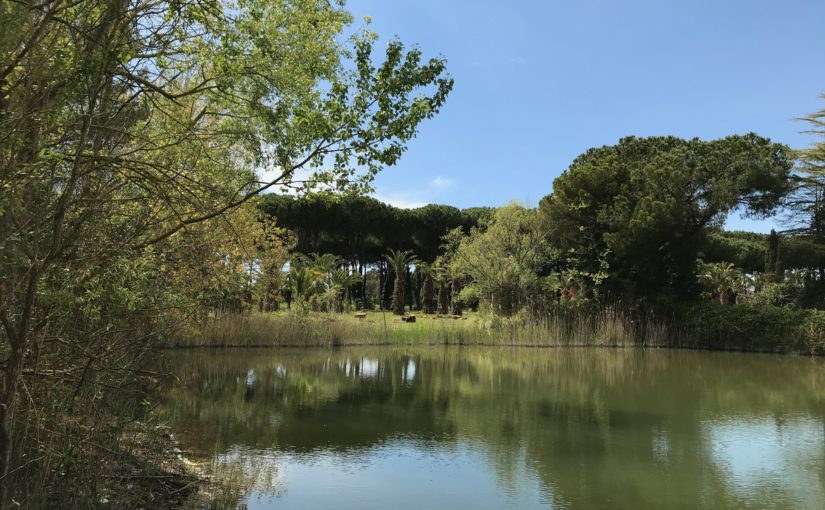 Navigare il Territorio sbarca a Maccarese